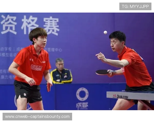 乒乓球全运会马龙樊振东同区，刘诗雯陈梦女单焦点战